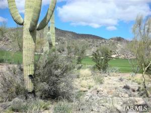 1018 W Tortolita Mountain Cir Oro Valley Arizona 85755