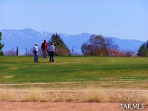   .91 AC Lots A + B Geneva Estates  Pearce Arizona 85625