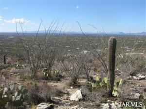 5325 N Wentworth Rd Tucson Arizona 85750