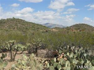 11345 E Calle Catalina  Tucson Arizona 85748