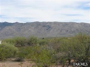 11335 E Calle Catalina  Tucson Arizona 85748