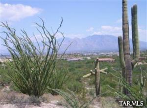5860 N Abington Rd Tucson Arizona 85743