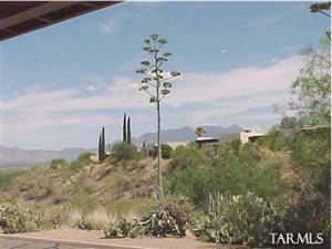 1400 W Camino Alicante  Green Valley Arizona 85622