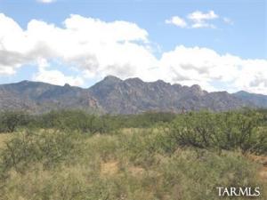 60 E De Vaca Cir St. David Arizona 85630