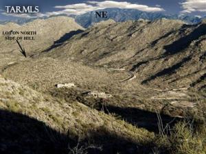 15176 N Gallery Overlook Pl Marana Arizona 85658
