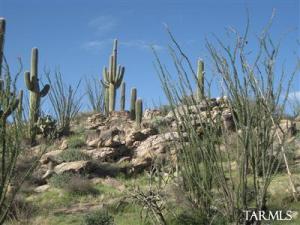18125 E Gila Monster Way Tucson Arizona 85641