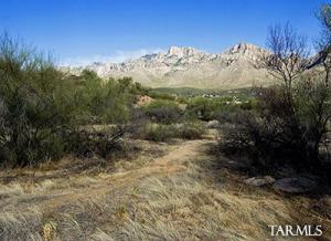 10822 N Avenida Vallejo  Oro Valley Arizona 85737