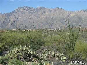 4090 N Circulo Manzanillo  Tucson Arizona 85750