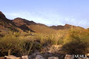 7438 N Secret Canyon Dr Tucson Arizona 85718