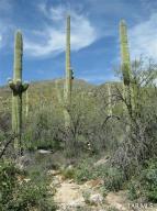 10255 E Sabino Estates Dr Tucson Arizona 85749