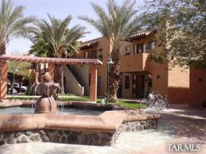 446 N Campbell Ave Tucson Arizona 85719