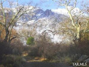 2386 S Rock House Rd Portal Arizona 85632