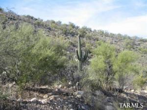 2236 E Buck Ridge Pl Oro Valley Arizona 85737