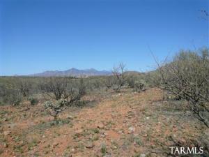 31  Camino Tango  Tubac Arizona 85646