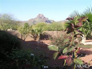 8540 N Rolling River Dr Tucson Arizona 85743