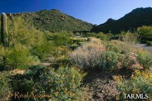 14593 N Sunset Gallery Dr Marana Arizona 85658