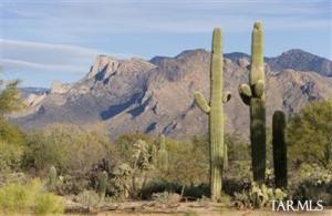 8841 N National Sky Pl Tucson Arizona 85742