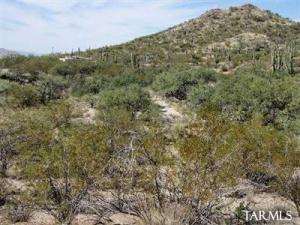 25920 S Blazed Ridge Tr Oracle Arizona 85739