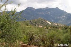  N RIDGE ROCK Tr Tucson Arizona 85739