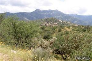  E Canyon Vista Rd Tucson Arizona 85739