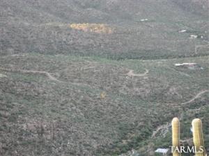  E Cabeza De Vaca M  Tucson Arizona 85749