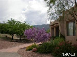 4209 S Melpomene Way Tucson Arizona 85730