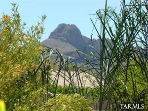 7295 W Mesquite River Dr Tucson Arizona 85743