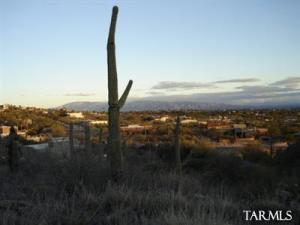 4405 E La Paloma Dr Tucson Arizona 85718