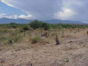  W Lakeside Dr Sierra Vista Arizona 85650