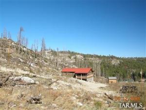 11011 E Carter Canyon Rd Mt. Lemmon Arizona 85619