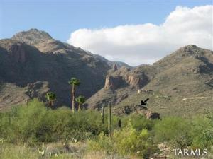 6364 N Canon Del Pajaro  Tucson Arizona 85750
