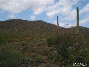 2700 S Jamie Ave Tucson Arizona 85735