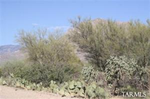 8820 N Camino Coronado  Oro Valley Arizona 85704