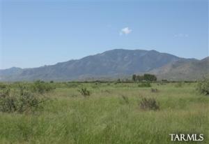  N MESQUITE Rd Dragoon Arizona 85609