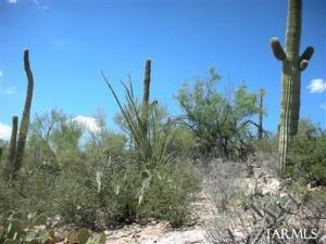 5427 N Shandon Pl Tucson Arizona 85749