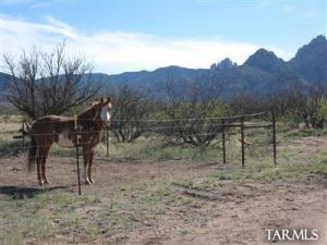 960 N Slope Along Way Cochise Arizona 85606