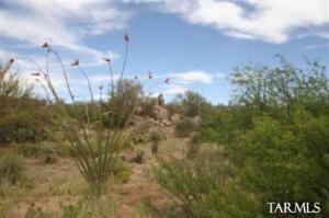 545 E Crescent Moon Dr Oro Valley Arizona 85755