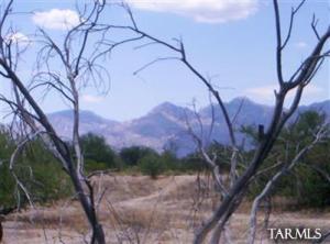 11040 E Melpomene Pl Tucson Arizona 85749