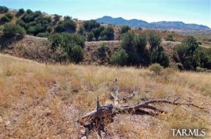 12  Camino La Paz  Patagonia Arizona 85624