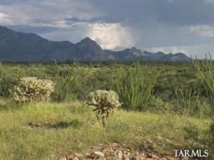 3205 S Corte Amarilla  Green Valley Arizona 85614