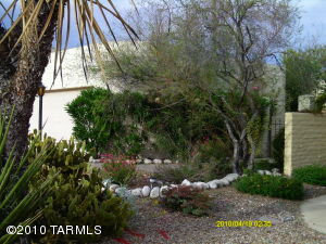 5294 N Paseo Del Arenal  Tucson Arizona 85715