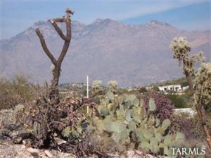 3989 N River Gate  Tucson Arizona 85750