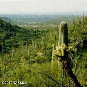 5051 N Sabino Canyon Rd Tucson Arizona 85750