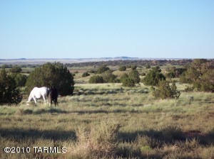 9594  Butler Tr Snowflake Arizona 85937