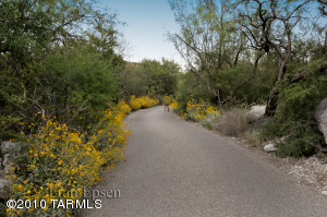 6582 N Thimble Pass Tucson Arizona 85750