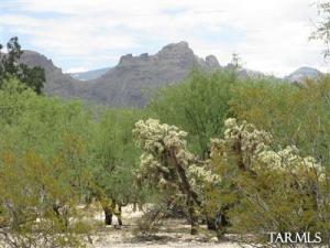 4680 N Bornite Way Tucson Arizona 85750