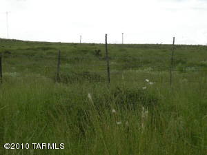 8  Pinto  Sonoita Arizona 85637