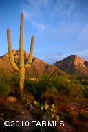 10698 N Del Sole  Oro Valley Arizona 85737