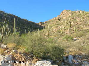 4305 E Playa de Coronado  Tucson Arizona 85718