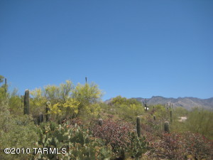 4731 N Camino Ocotillo  Tucson Arizona 85718